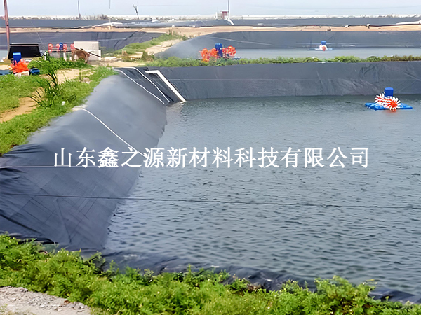 魚塘防滲膜存放技巧：輕松保鮮，以備不時之需